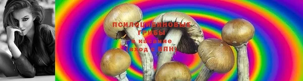 МДПВ Баксан