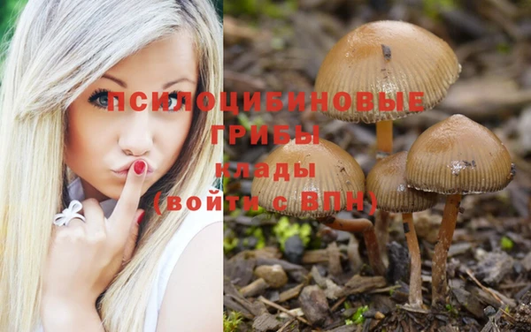 трава Балабаново